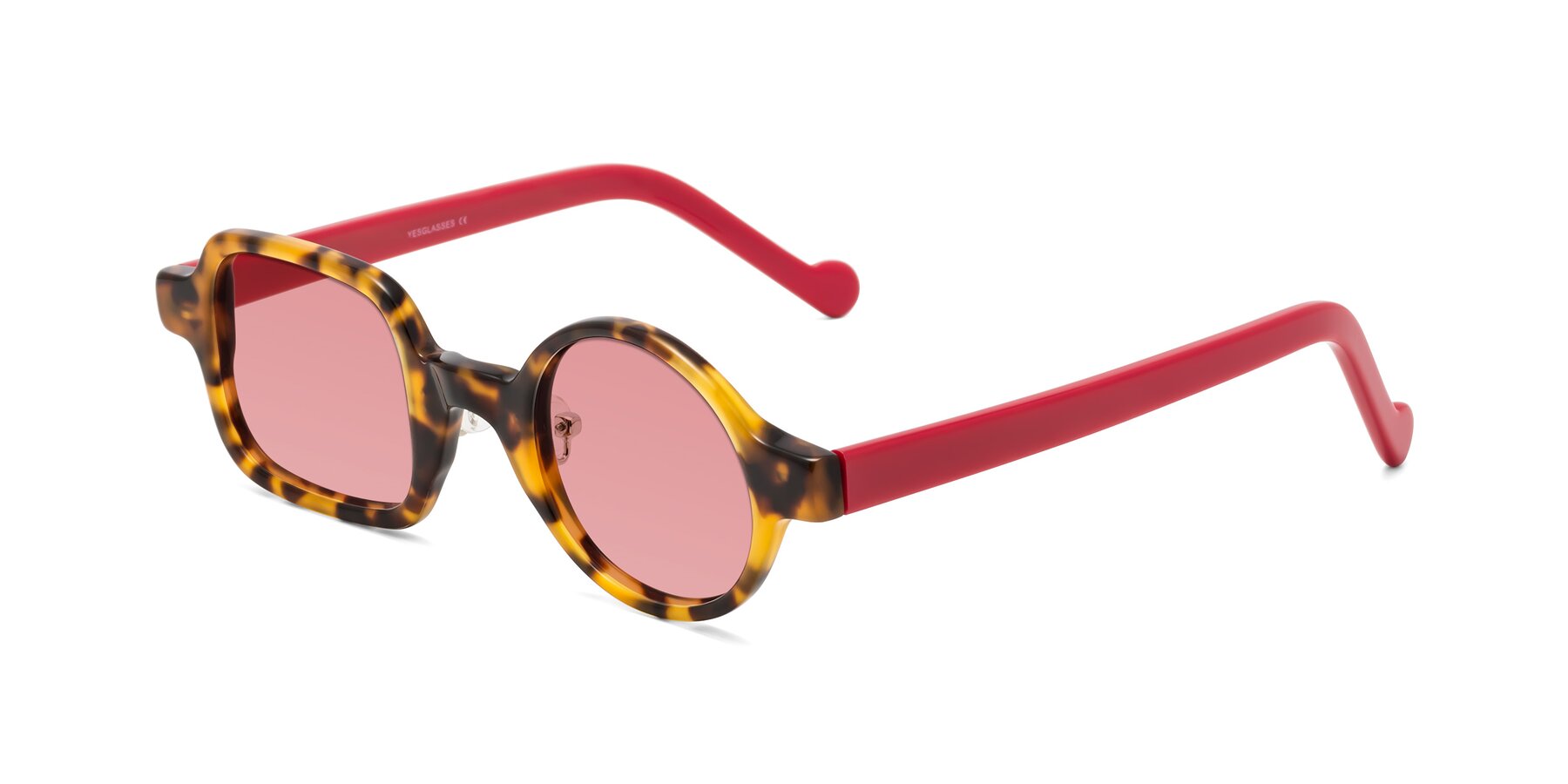 Angle of Singer in Tortoise with Medium Garnet Tinted Lenses