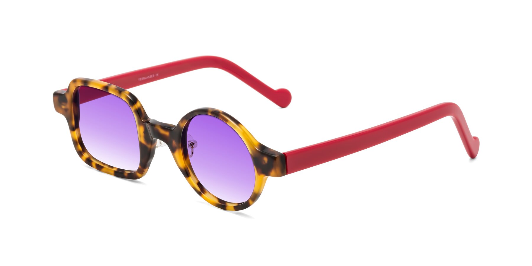 Angle of Singer in Tortoise with Purple Gradient Lenses