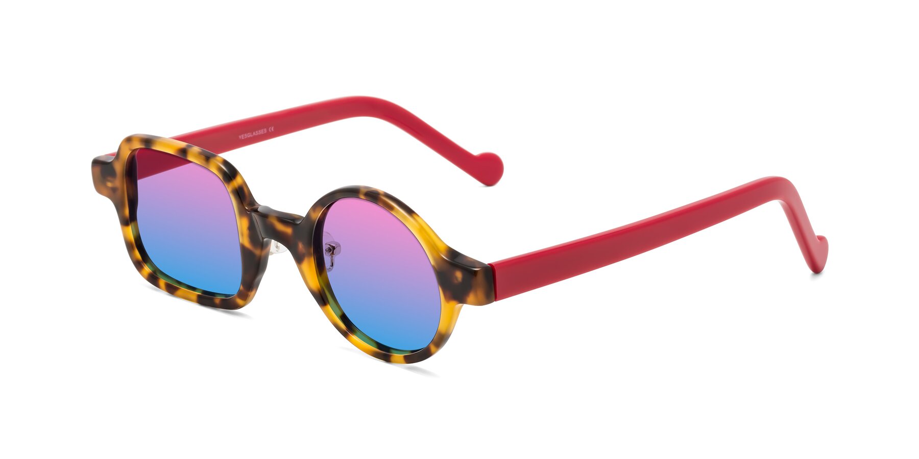 Angle of Singer in Tortoise with Pink / Blue Gradient Lenses