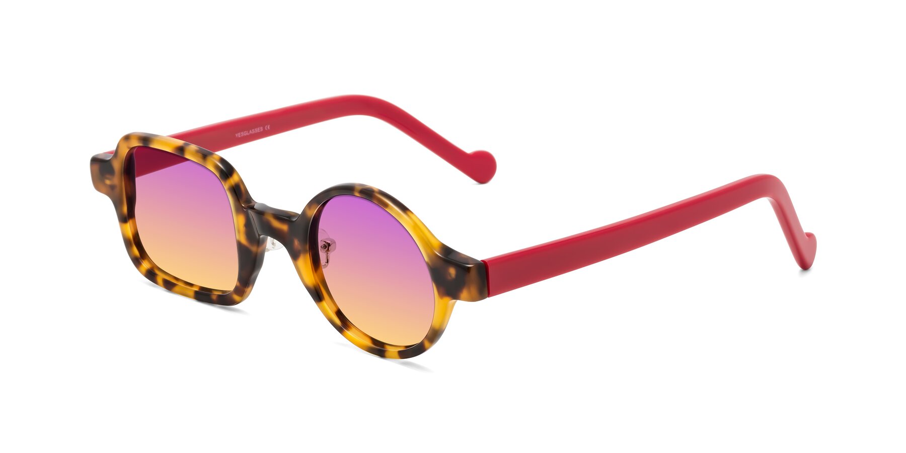 Angle of Singer in Tortoise with Purple / Yellow Gradient Lenses