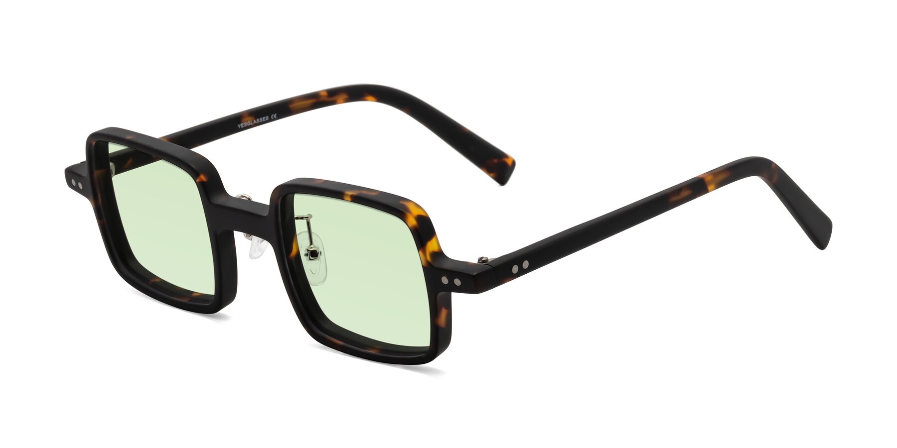 Angle of Nebula in Matte Tortoise with Light Green Tinted Lenses