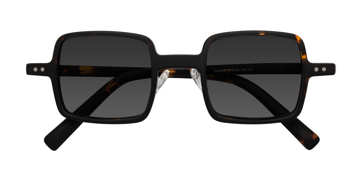 Nebula - Matte Tortoise Tinted Sunglasses