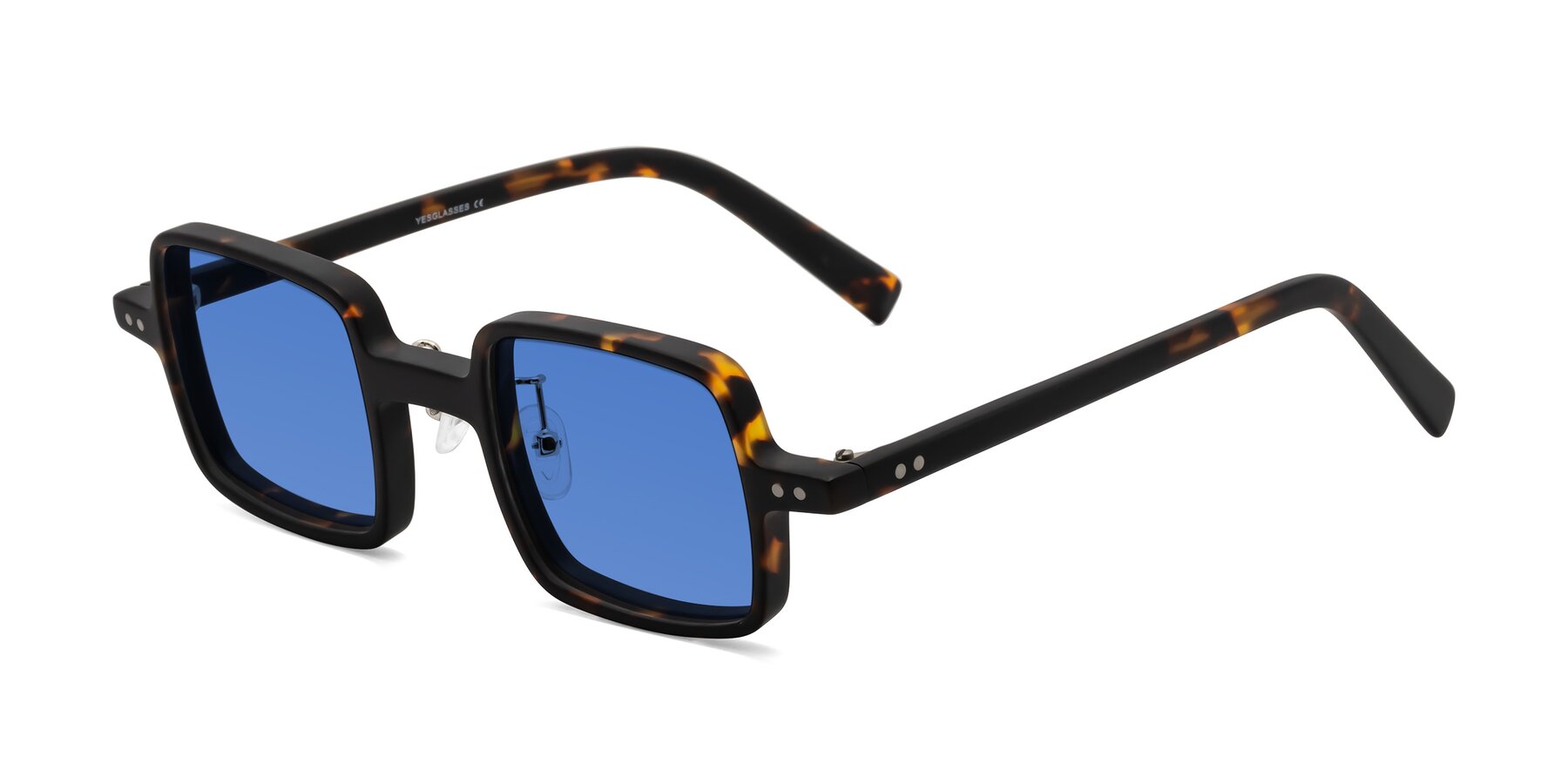 Angle of Nebula in Matte Tortoise with Blue Tinted Lenses