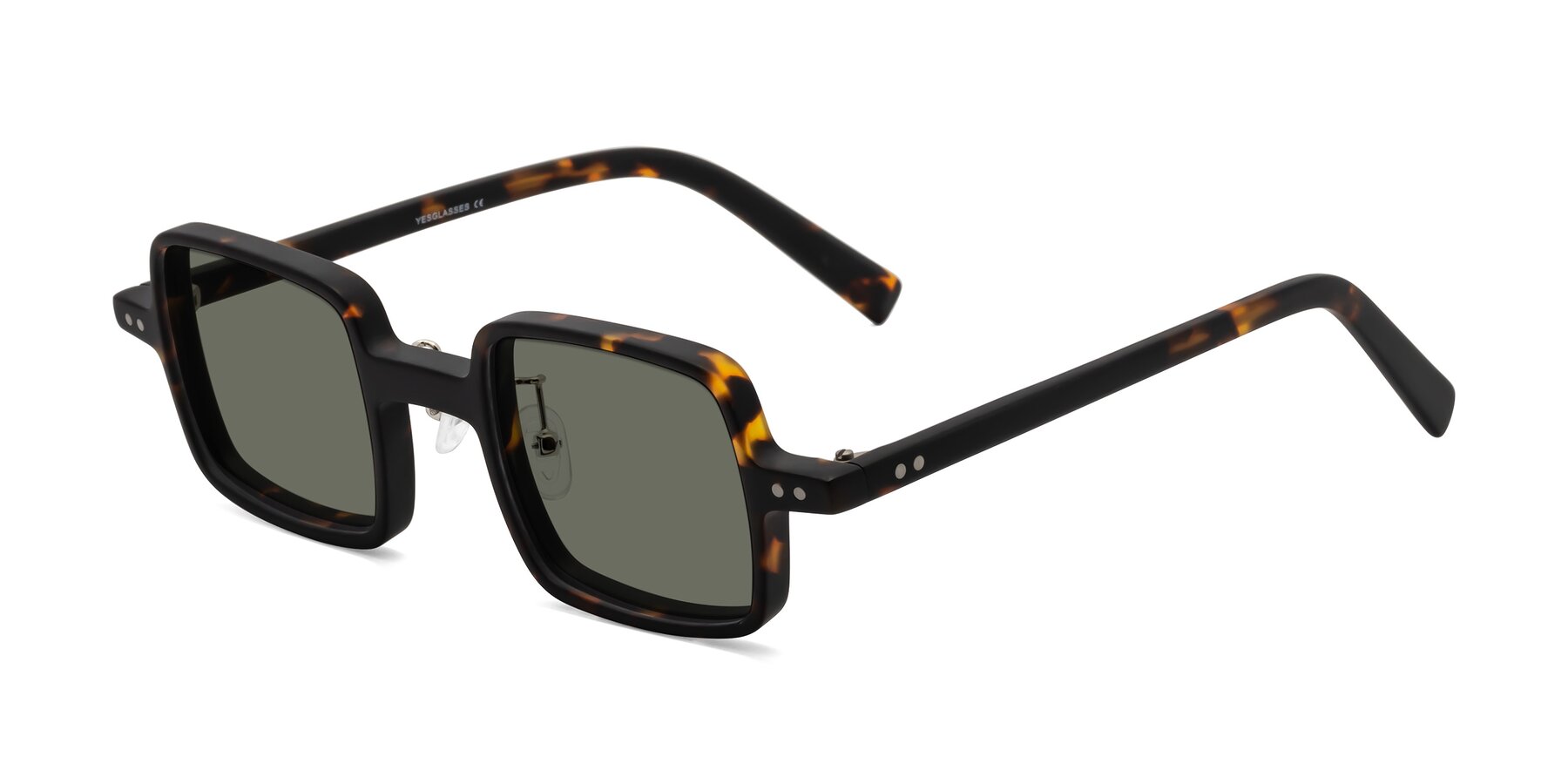 Angle of Nebula in Matte Tortoise with Gray Polarized Lenses