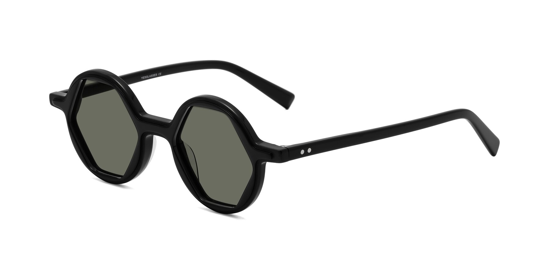 Angle of Alien in Black with Gray Polarized Lenses