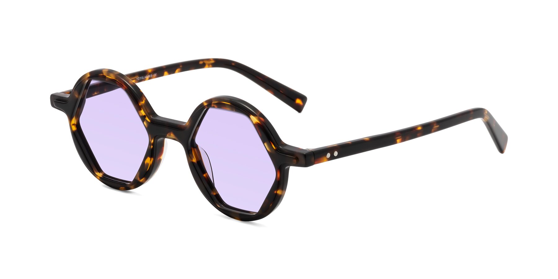 Angle of Alien in Tortoise with Light Purple Tinted Lenses