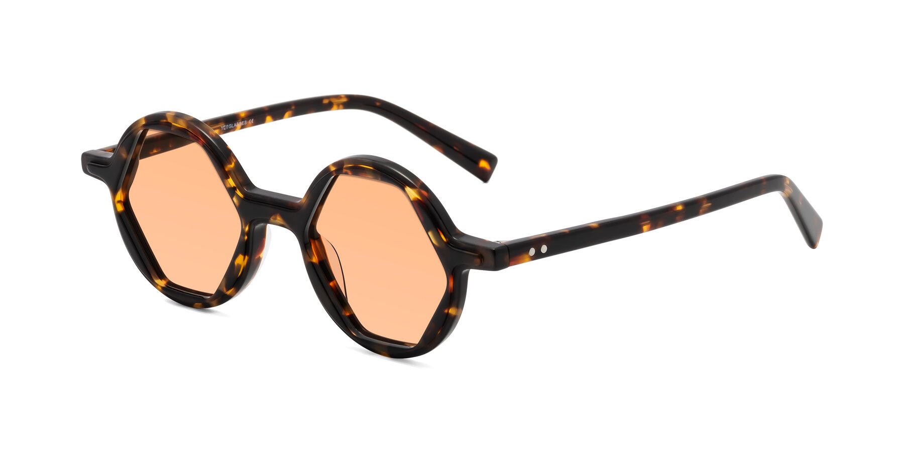 Angle of Alien in Tortoise with Light Orange Tinted Lenses