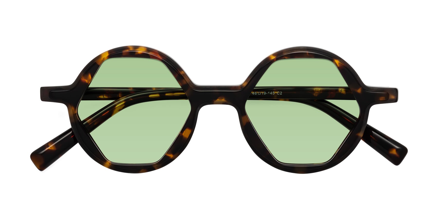 Folded Front of Alien in Tortoise with Medium Green Tinted Lenses