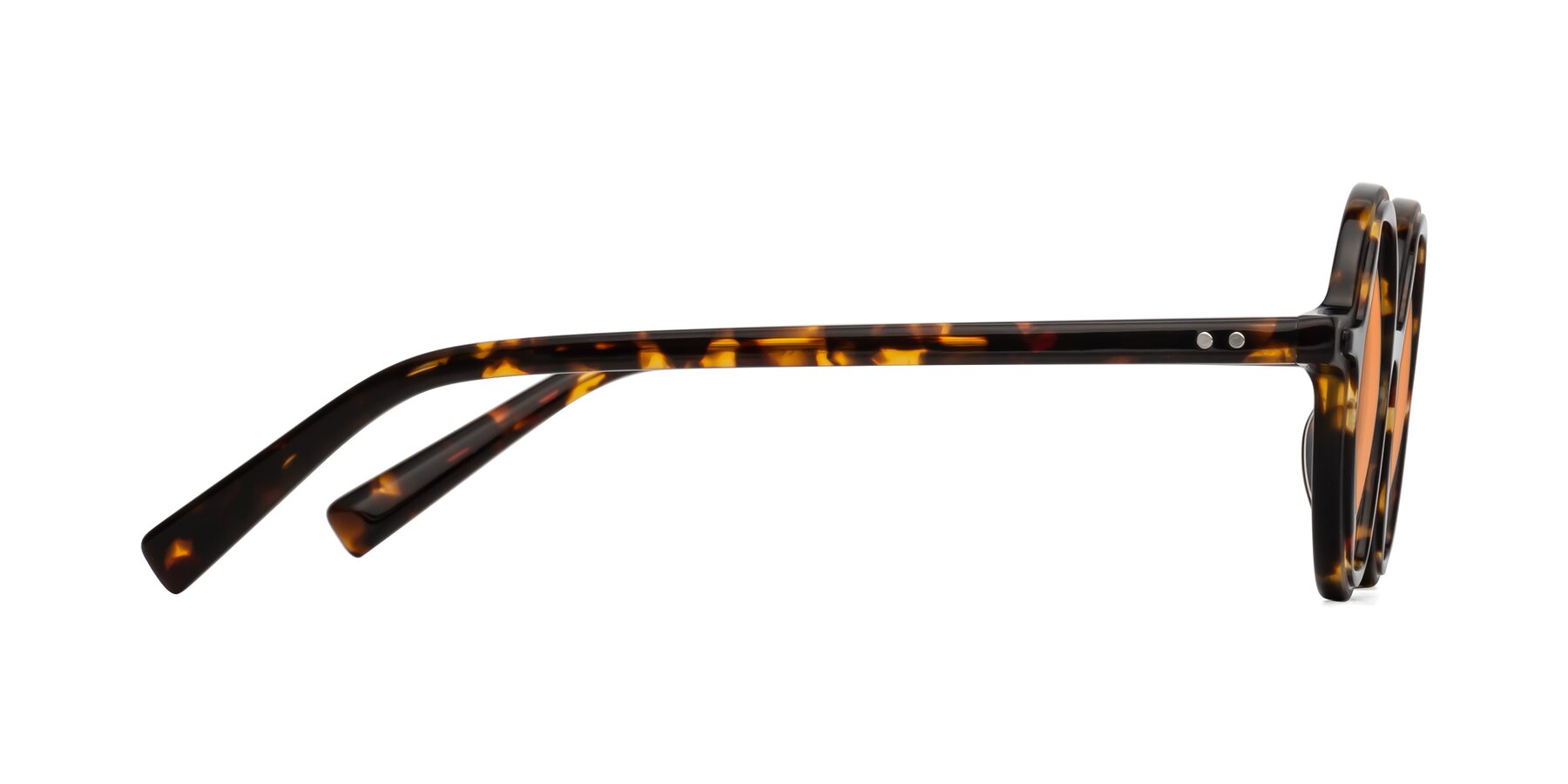 Side of Alien in Tortoise with Medium Orange Tinted Lenses