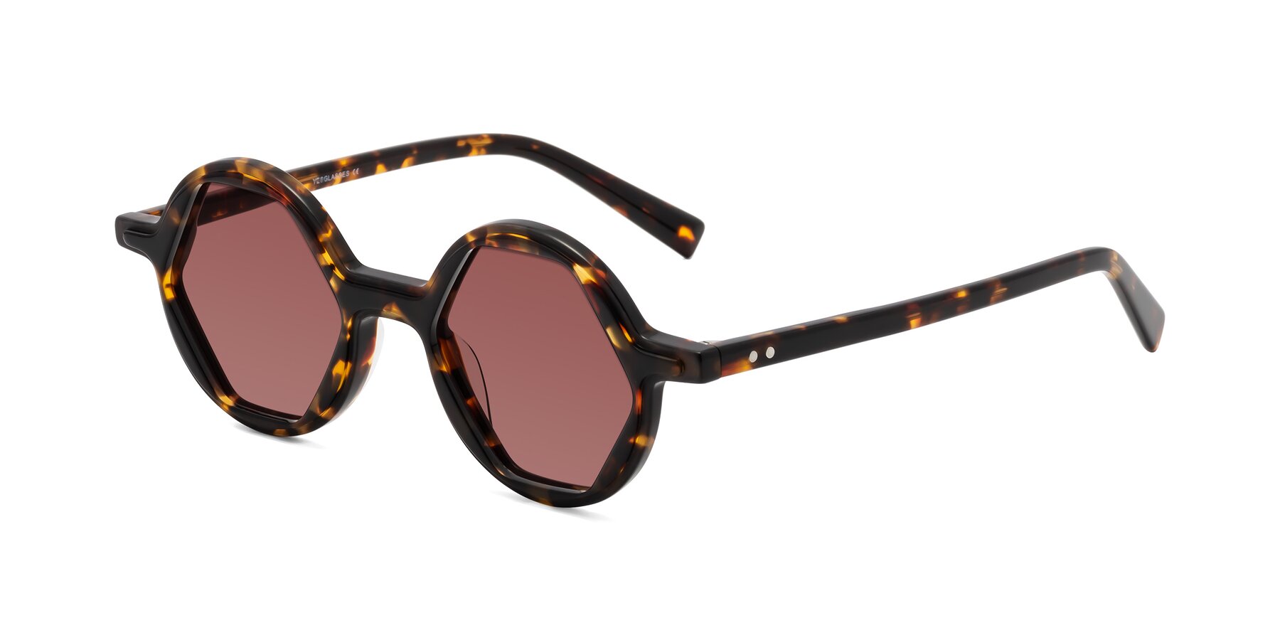 Angle of Alien in Tortoise with Garnet Tinted Lenses