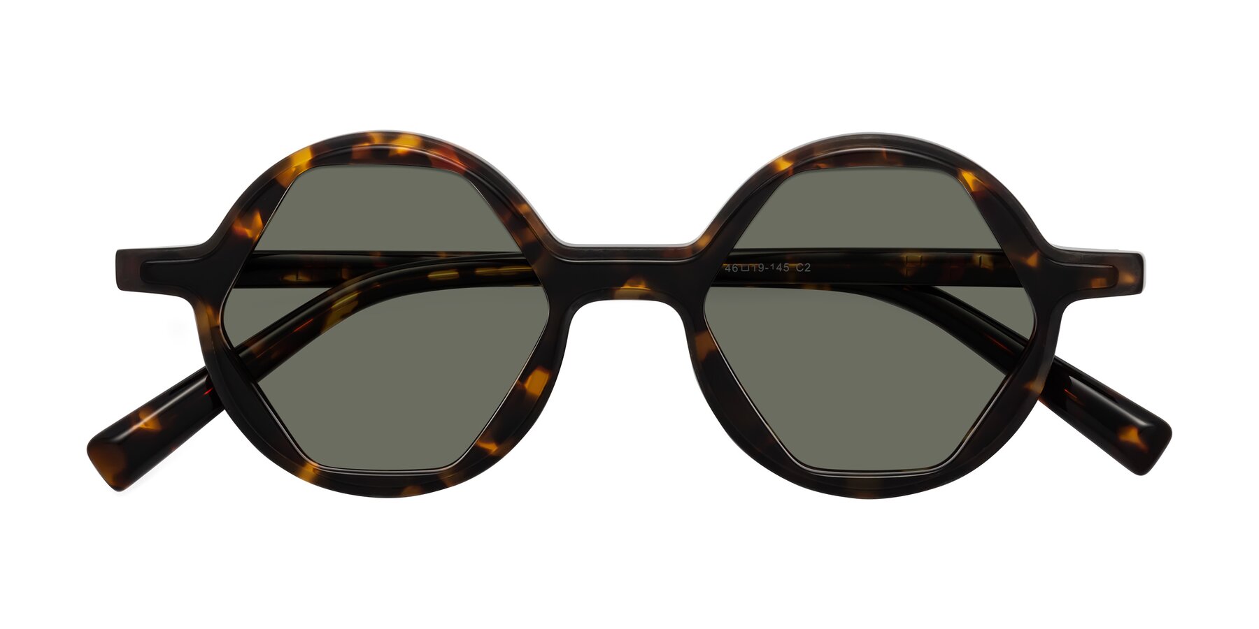 Folded Front of Alien in Tortoise with Gray Polarized Lenses