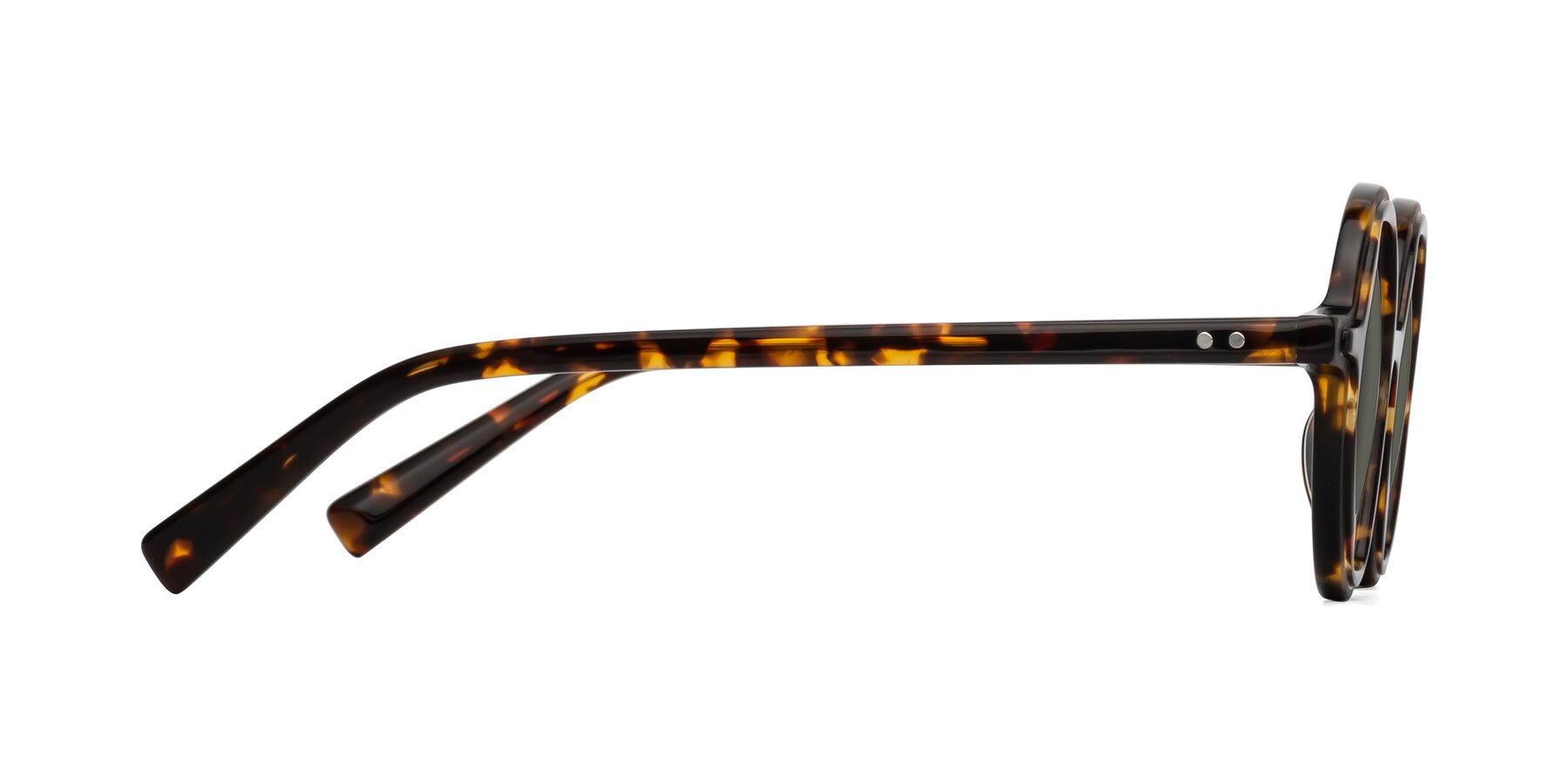 Side of Alien in Tortoise with Gray Polarized Lenses