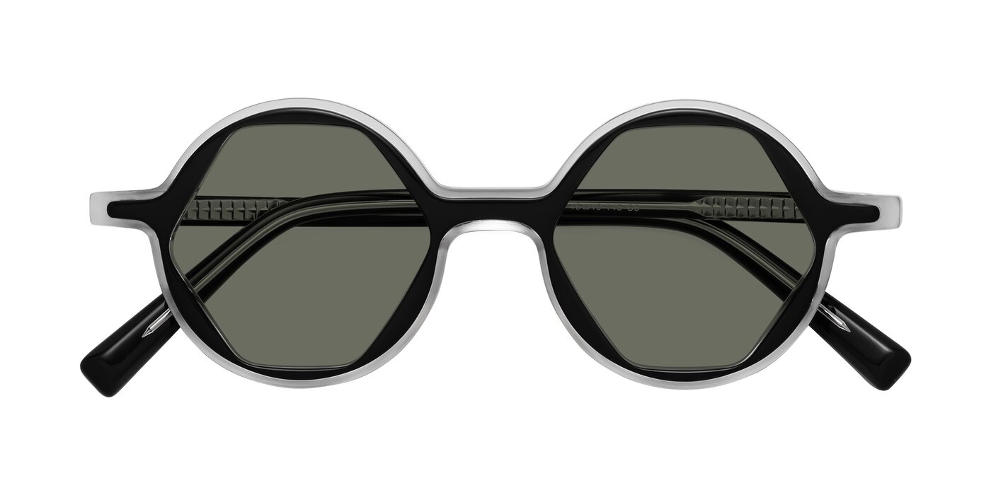 Alien - Black / Clear Polarized Sunglasses