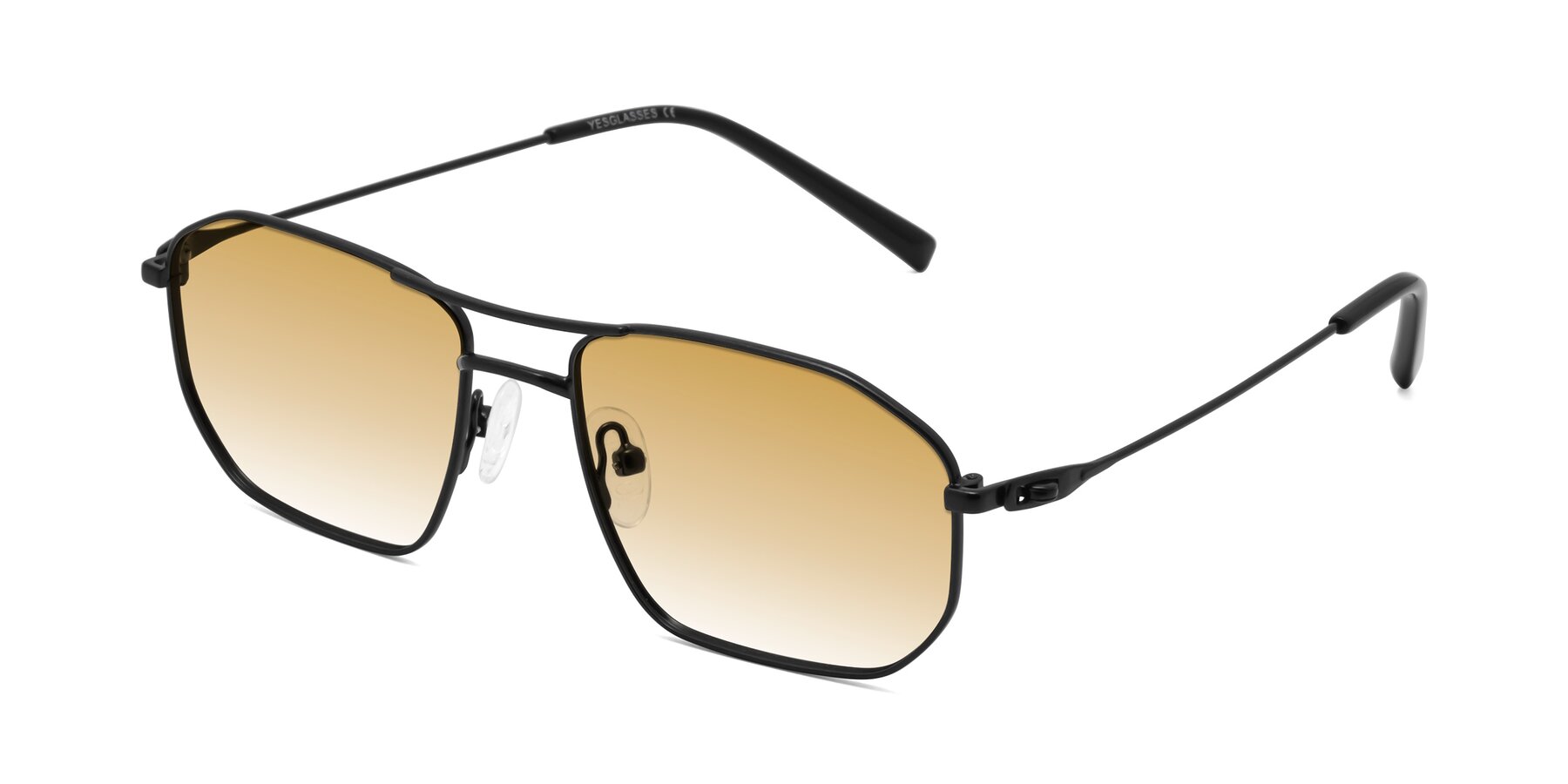 Angle of Cress in Black with Champagne Gradient Lenses