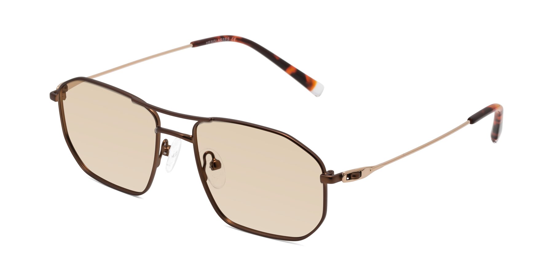 Angle of Cress in Brown-Gold with Light Brown Tinted Lenses