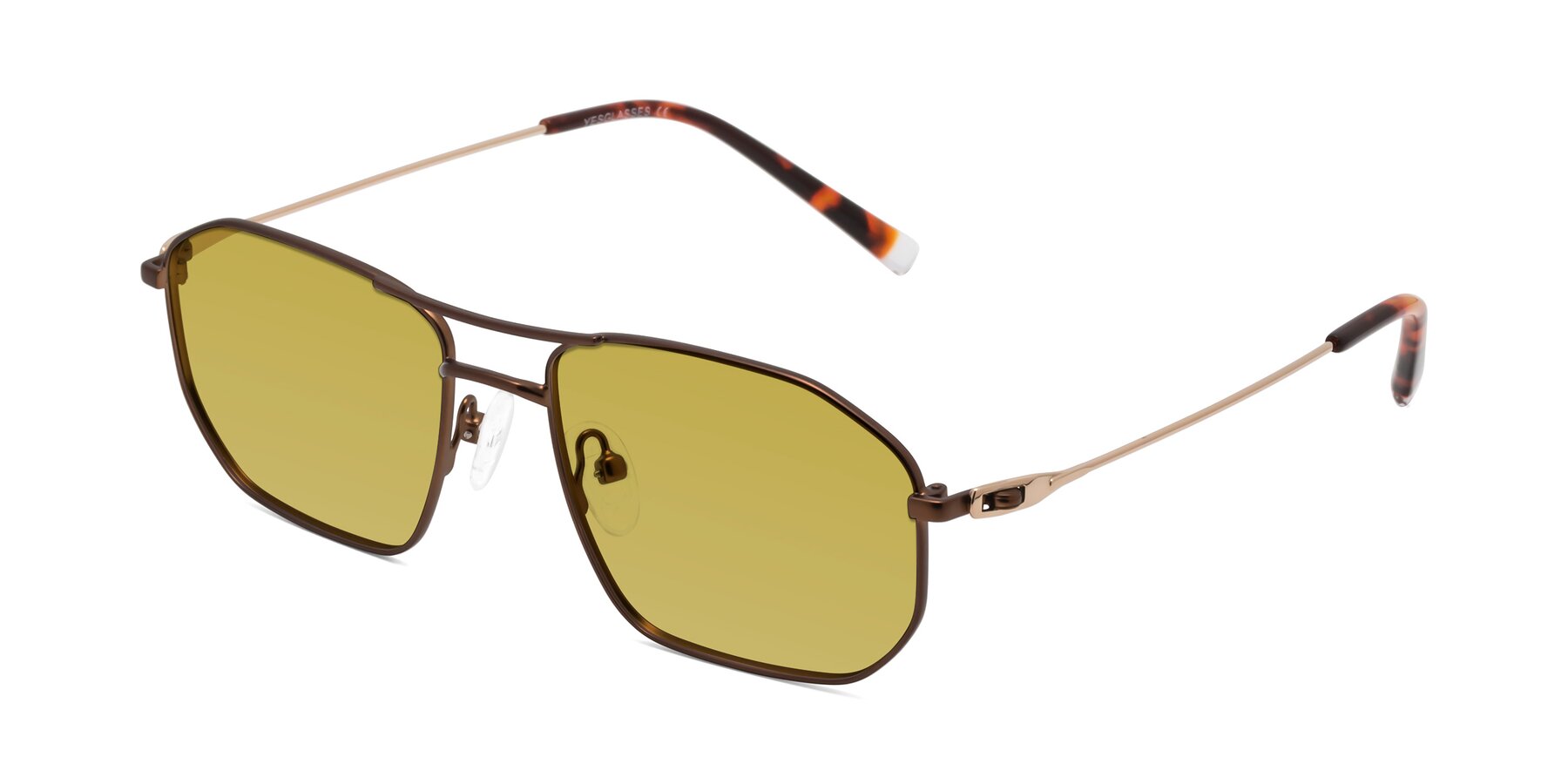 Angle of Cress in Brown-Gold with Champagne Tinted Lenses