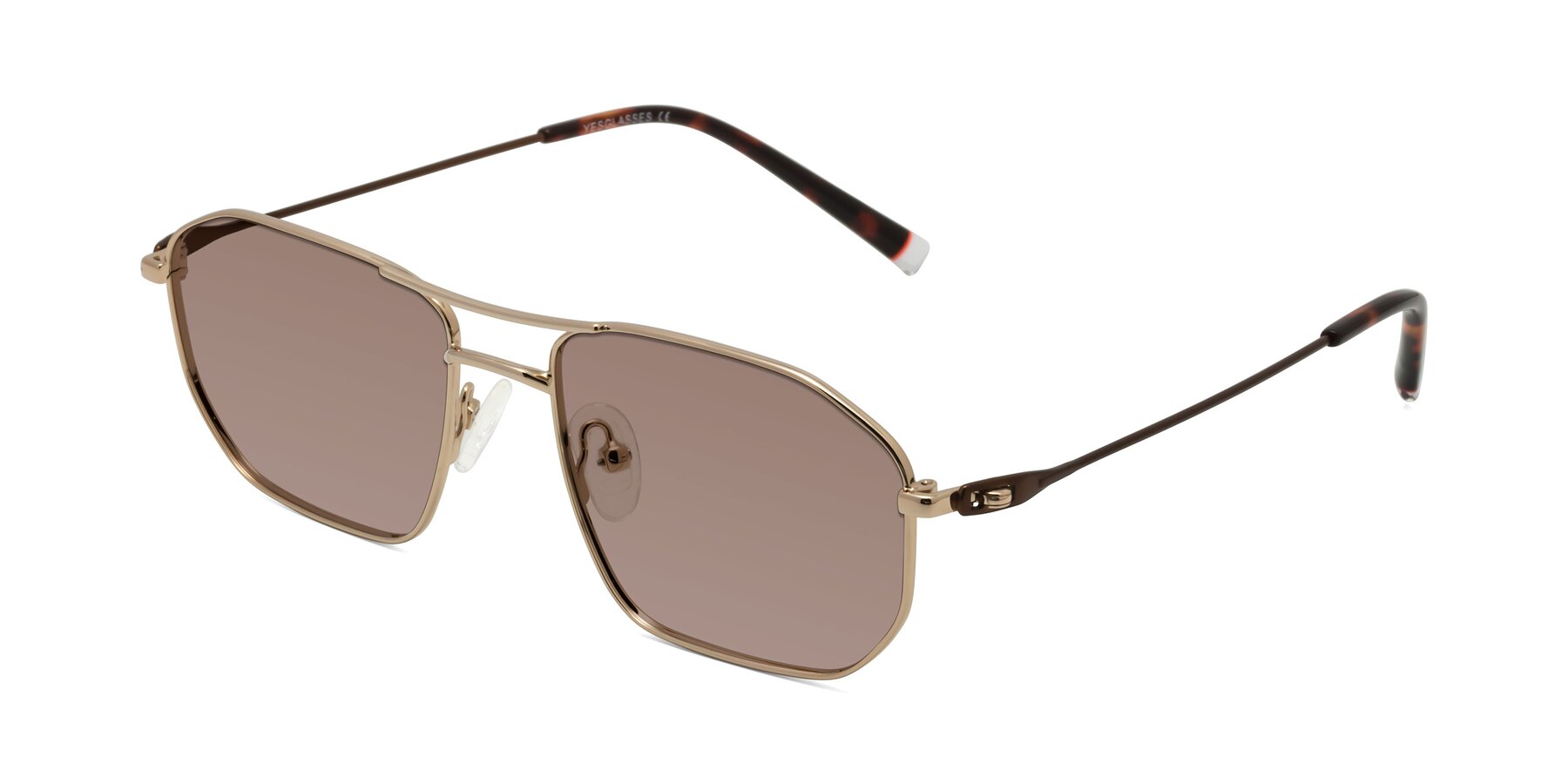 Angle of Cress in Gold-Brown with Medium Brown Tinted Lenses