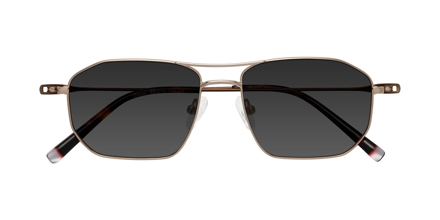 Cress - Gold / Brown Tinted Sunglasses