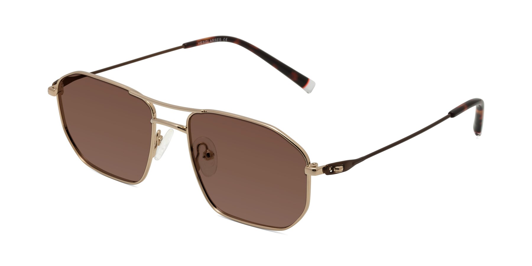 Angle of Cress in Gold-Brown with Brown Tinted Lenses