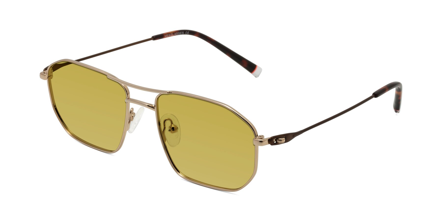 Angle of Cress in Gold-Brown with Champagne Tinted Lenses