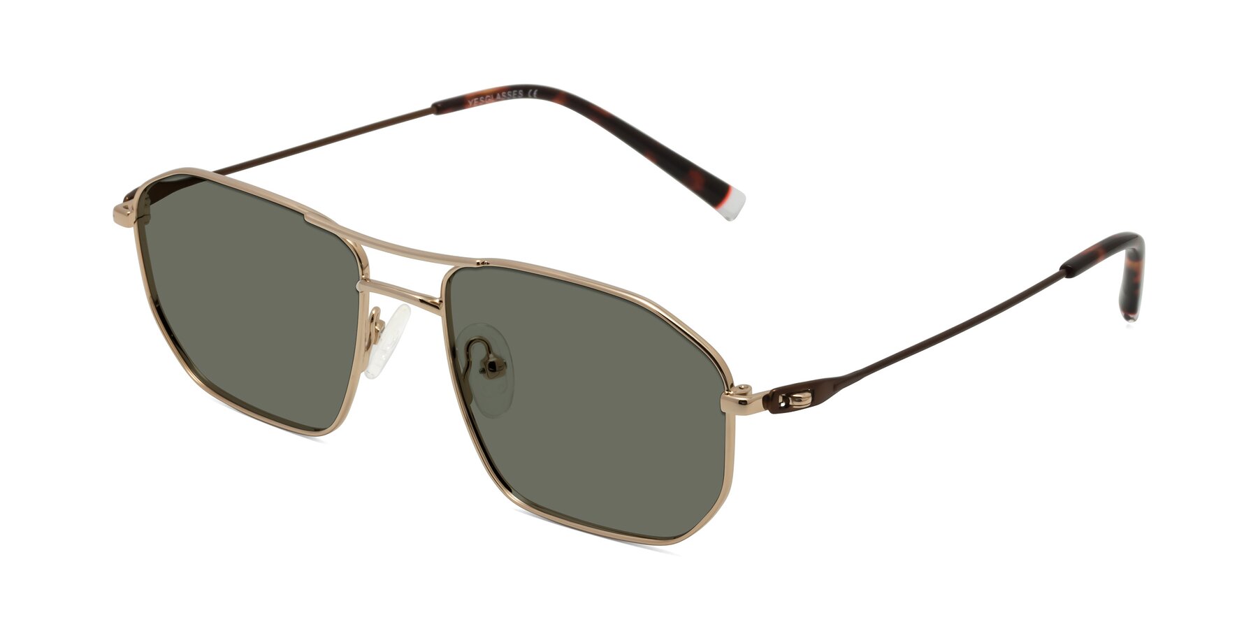 Angle of Cress in Gold-Brown with Gray Polarized Lenses