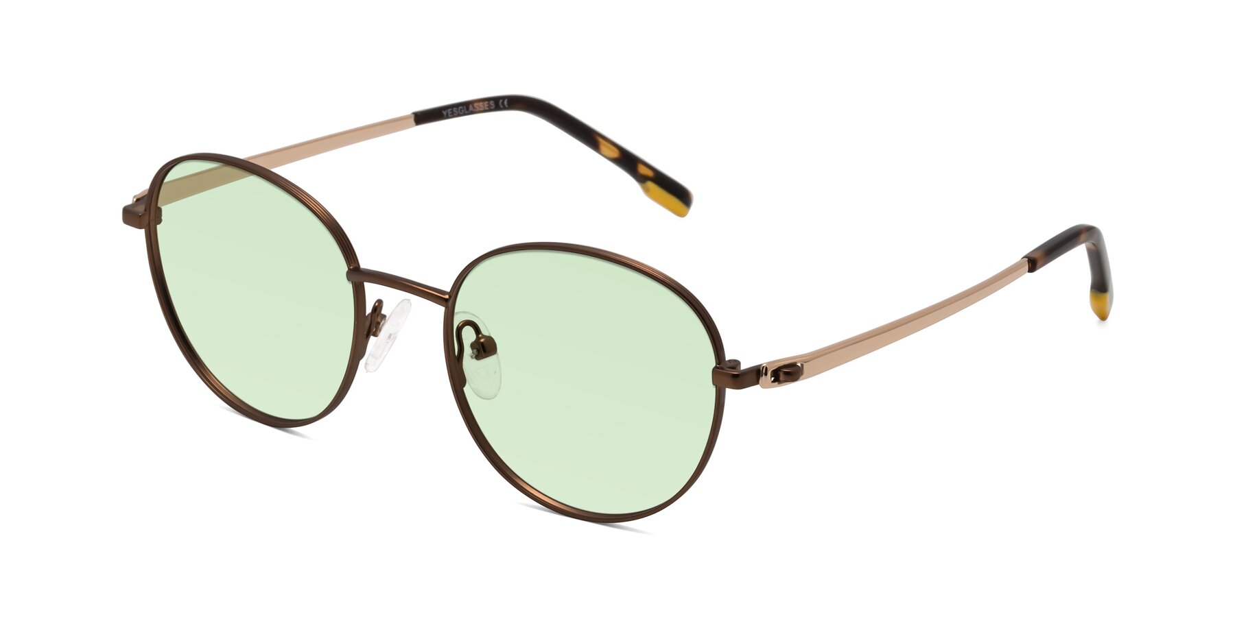 Angle of Bean in Brown with Light Green Tinted Lenses