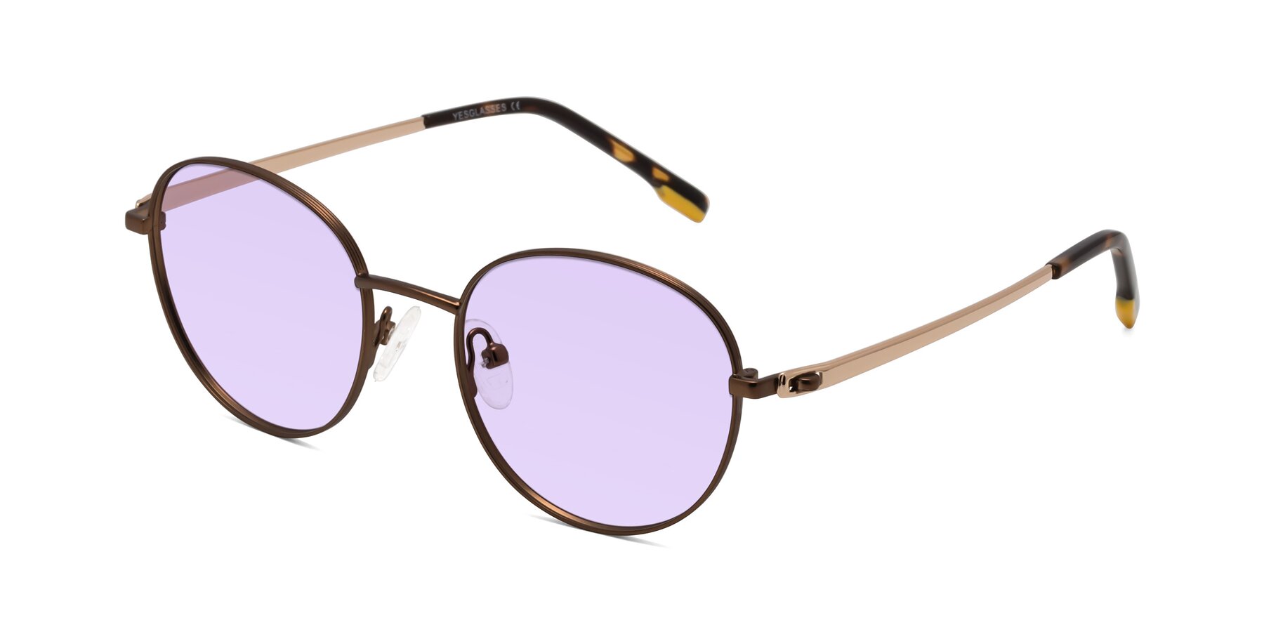 Angle of Bean in Brown with Light Purple Tinted Lenses