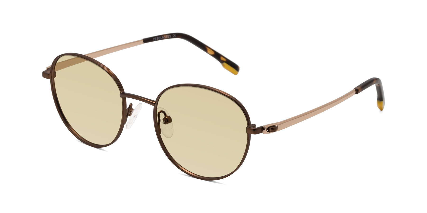 Angle of Bean in Brown with Light Champagne Tinted Lenses