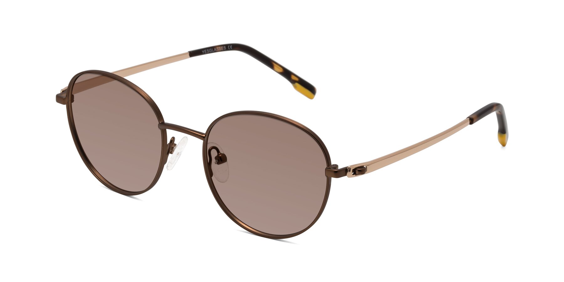 Angle of Bean in Brown with Medium Brown Tinted Lenses