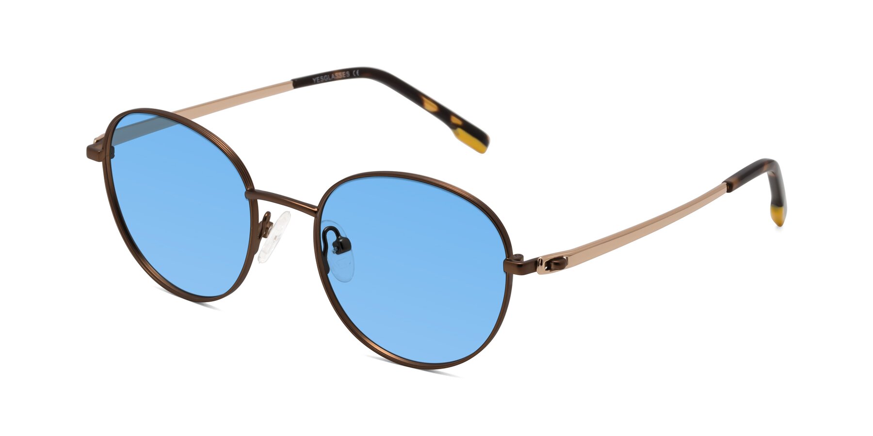 Angle of Bean in Brown with Medium Blue Tinted Lenses