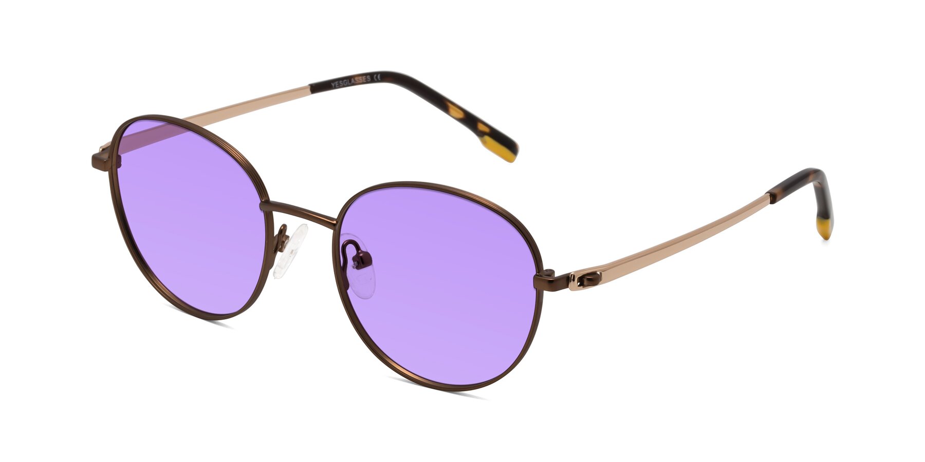 Angle of Bean in Brown with Medium Purple Tinted Lenses