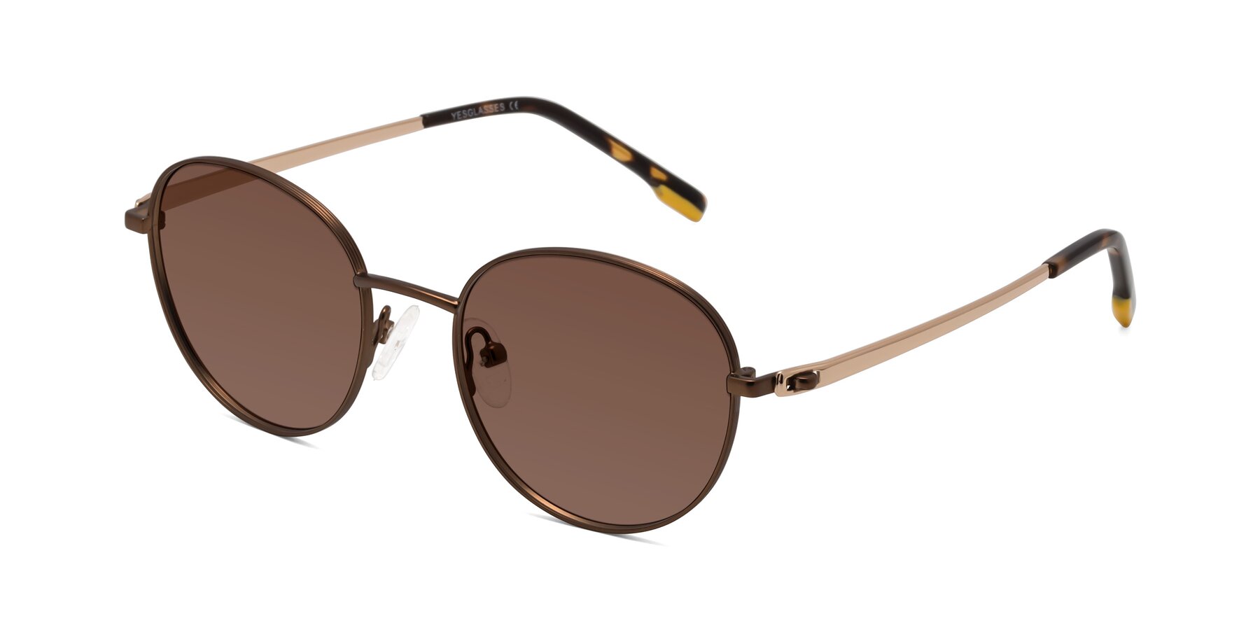 Angle of Bean in Brown with Brown Tinted Lenses