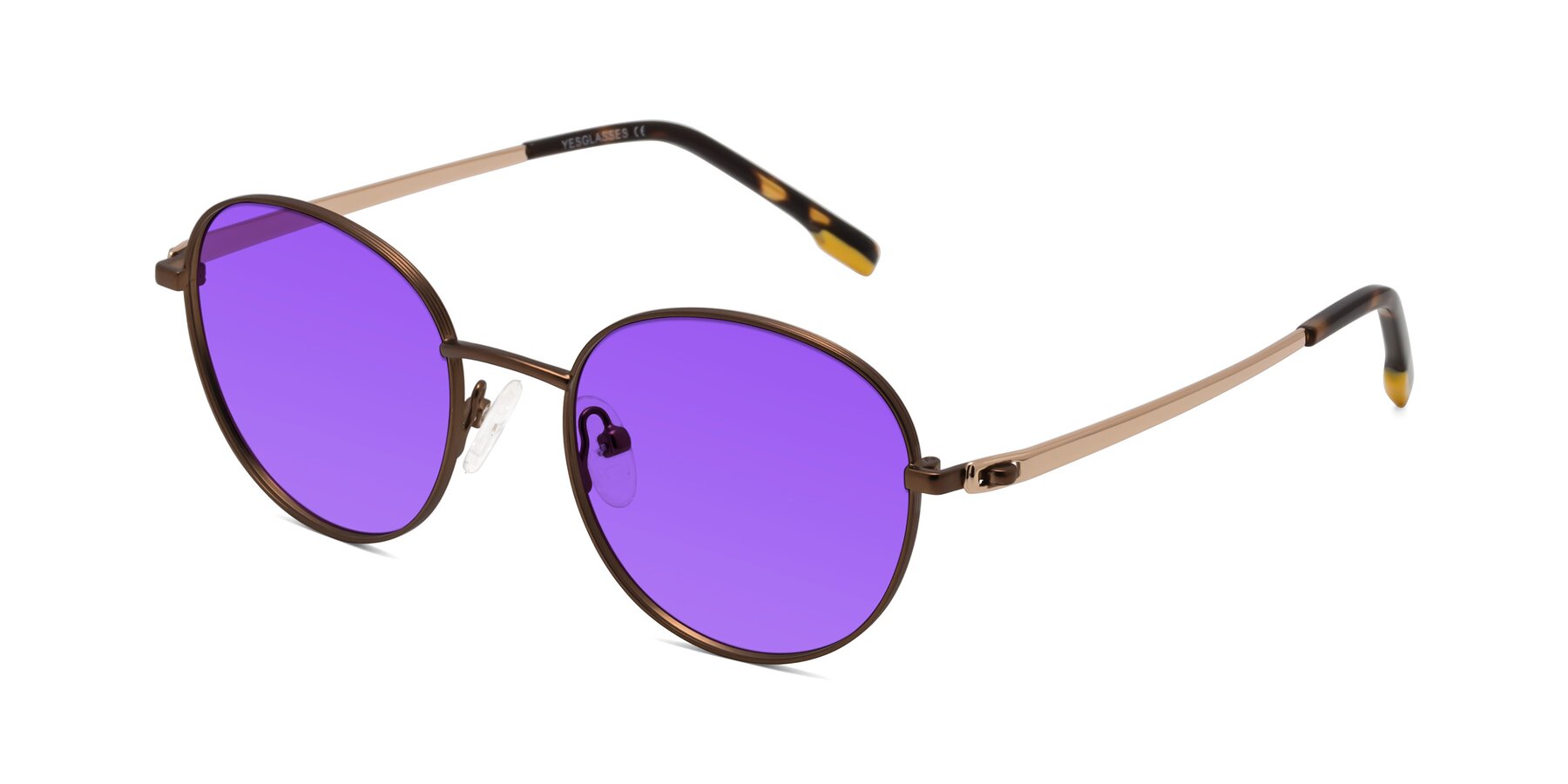 Angle of Bean in Brown with Purple Tinted Lenses