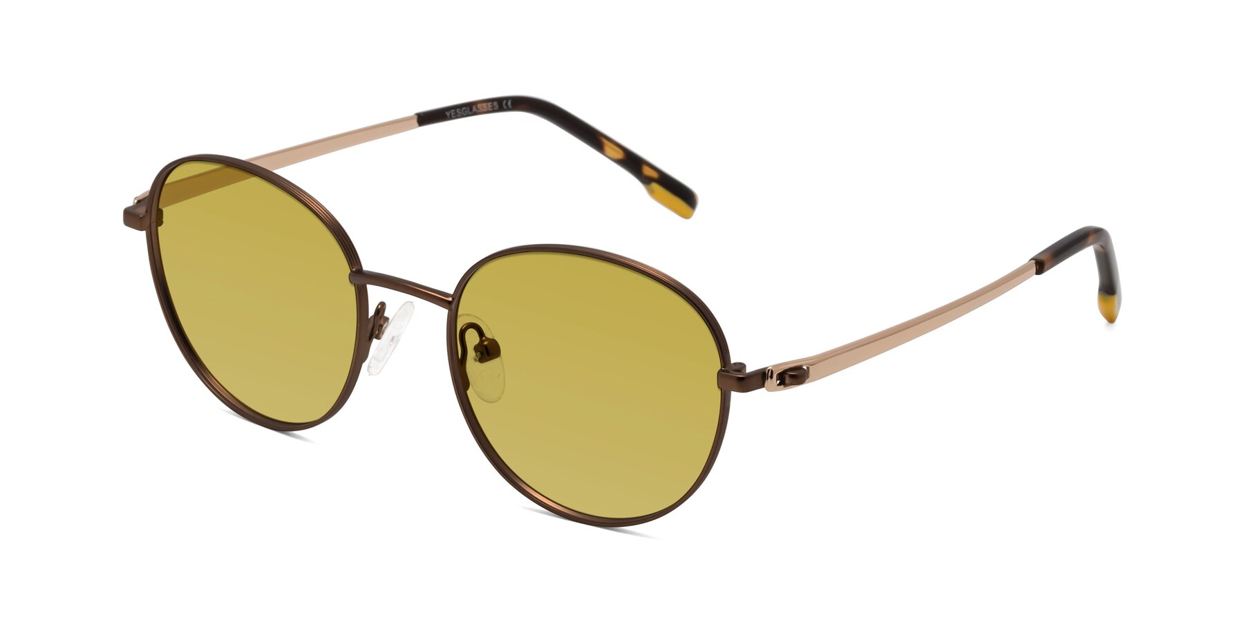 Angle of Bean in Brown with Champagne Tinted Lenses