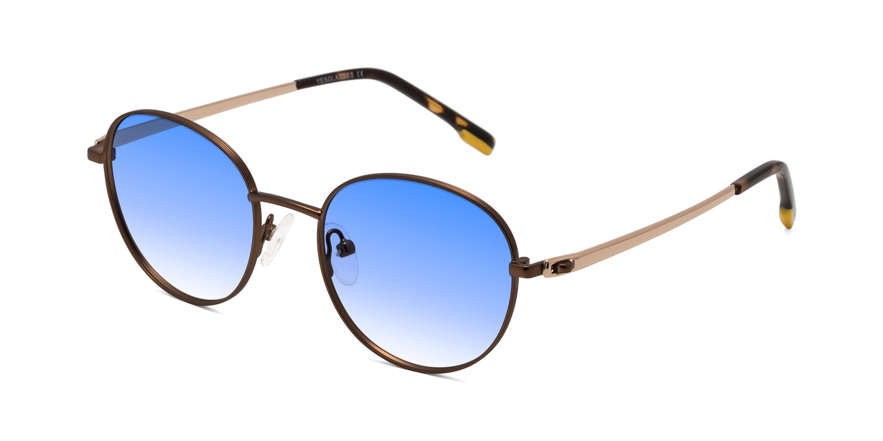 Angle of Bean in Brown with Blue Gradient Lenses