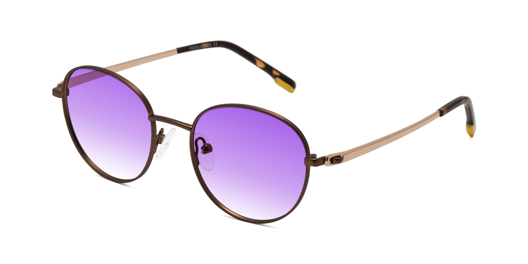 Angle of Bean in Brown with Purple Gradient Lenses