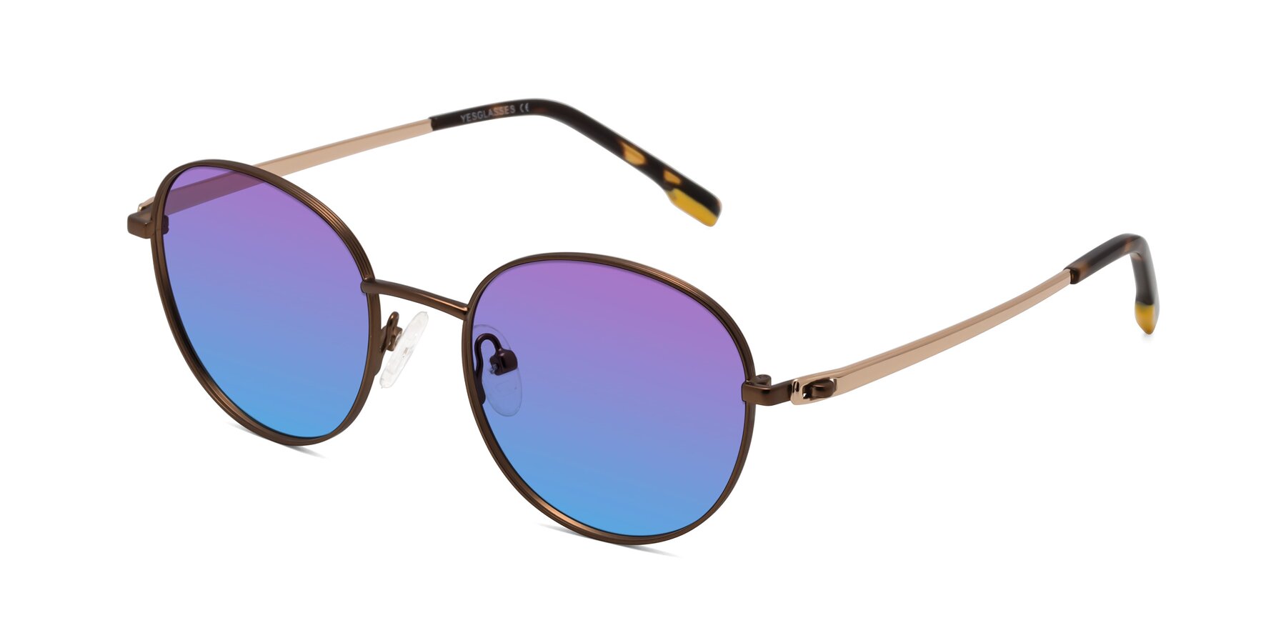 Angle of Bean in Brown with Purple / Blue Gradient Lenses