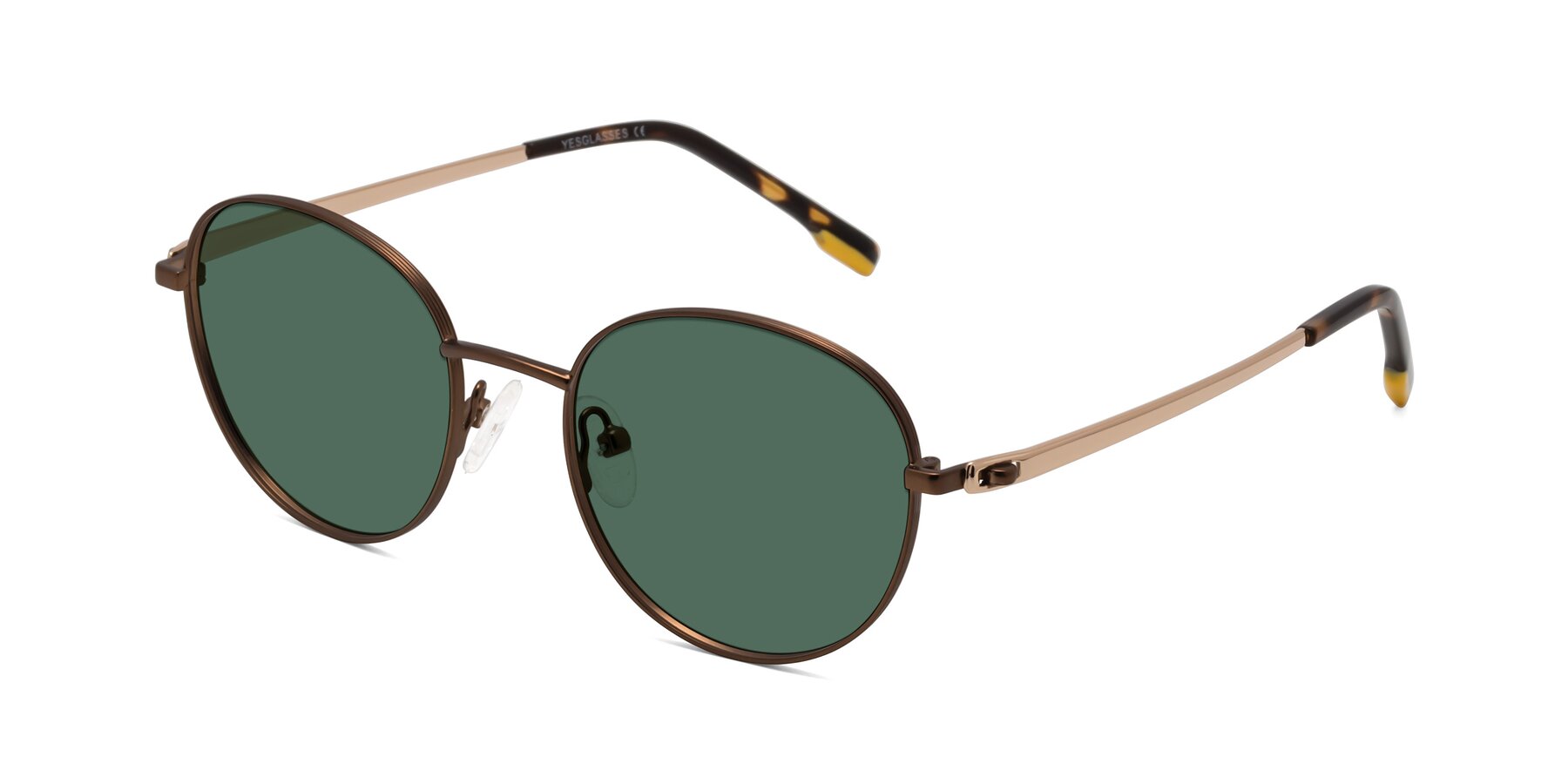 Angle of Bean in Brown with Green Polarized Lenses