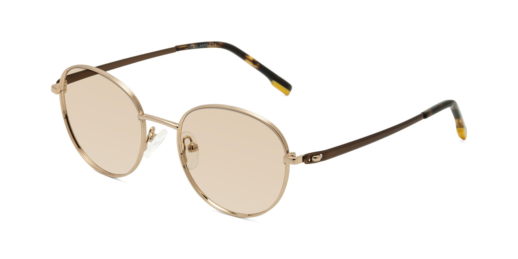 Angle of Bean in Gold with Light Brown Tinted Lenses