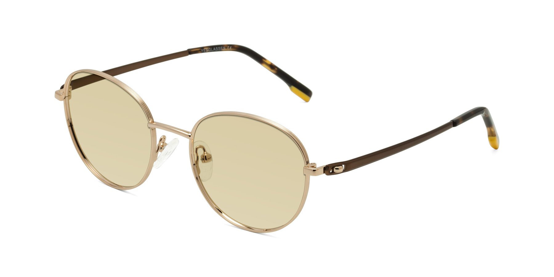 Angle of Bean in Gold with Light Champagne Tinted Lenses