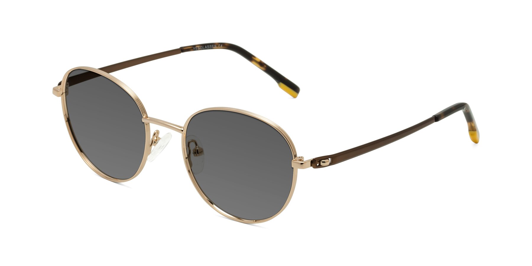 Angle of Bean in Gold with Medium Gray Tinted Lenses