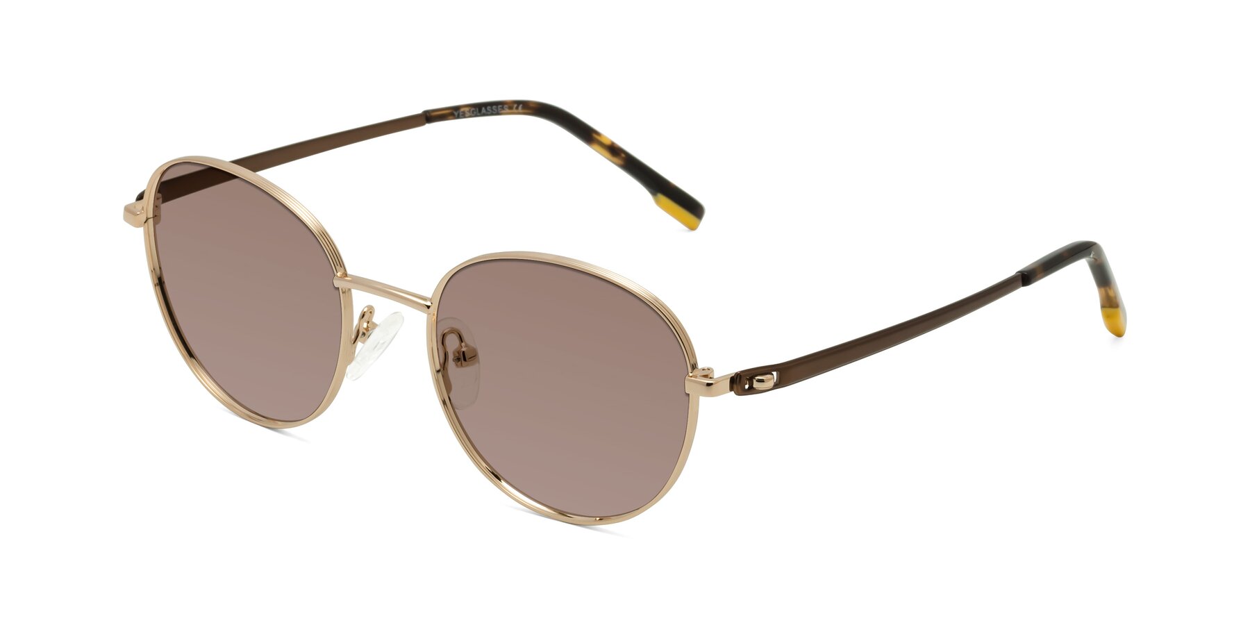 Angle of Bean in Gold with Medium Brown Tinted Lenses