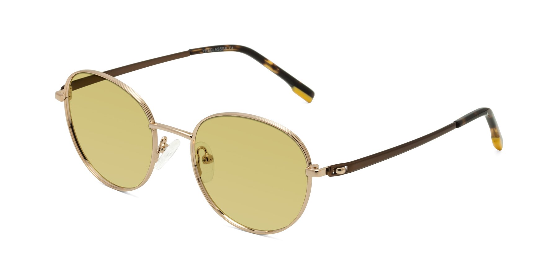 Angle of Bean in Gold with Medium Champagne Tinted Lenses