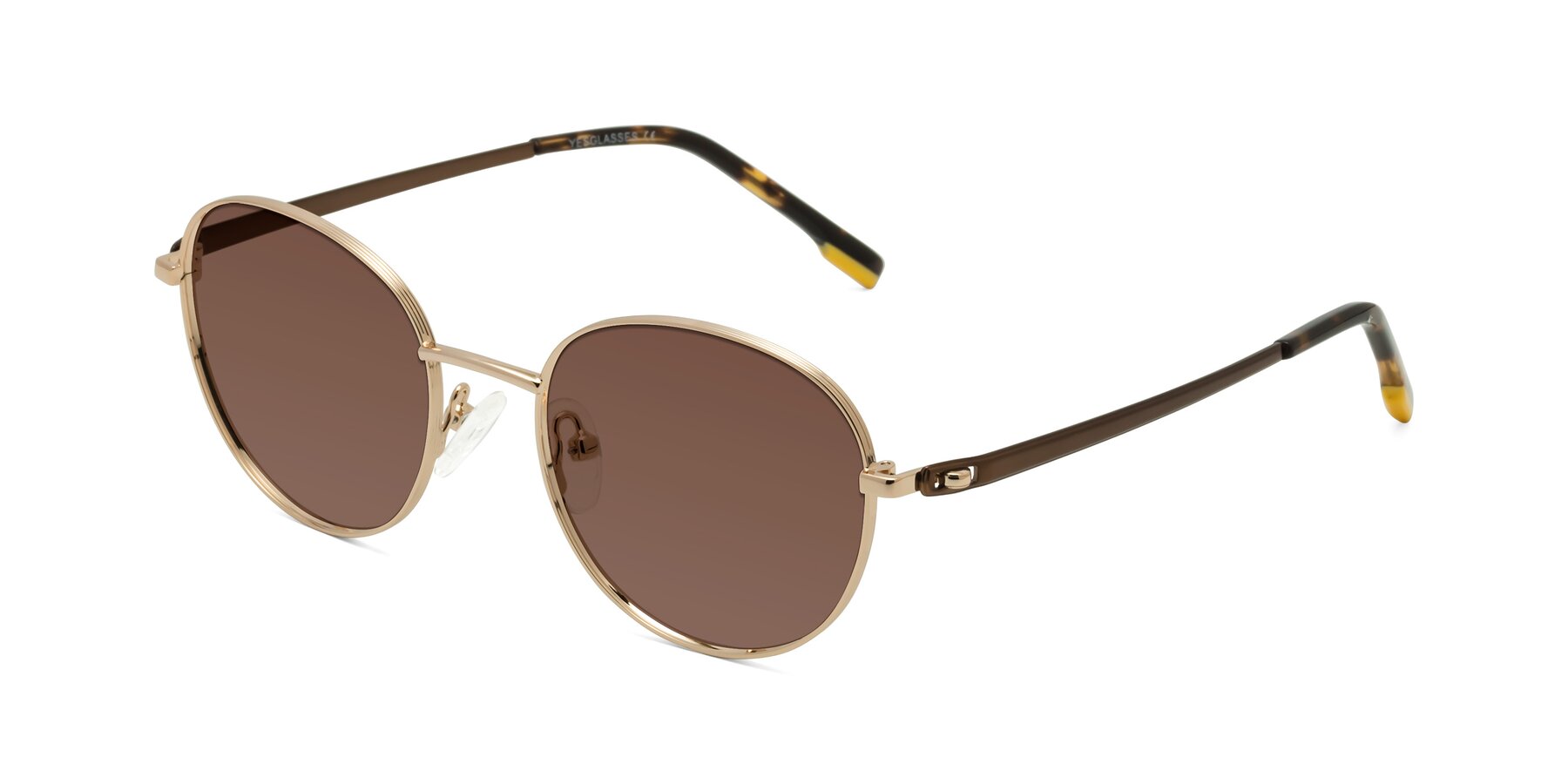 Angle of Bean in Gold with Brown Tinted Lenses