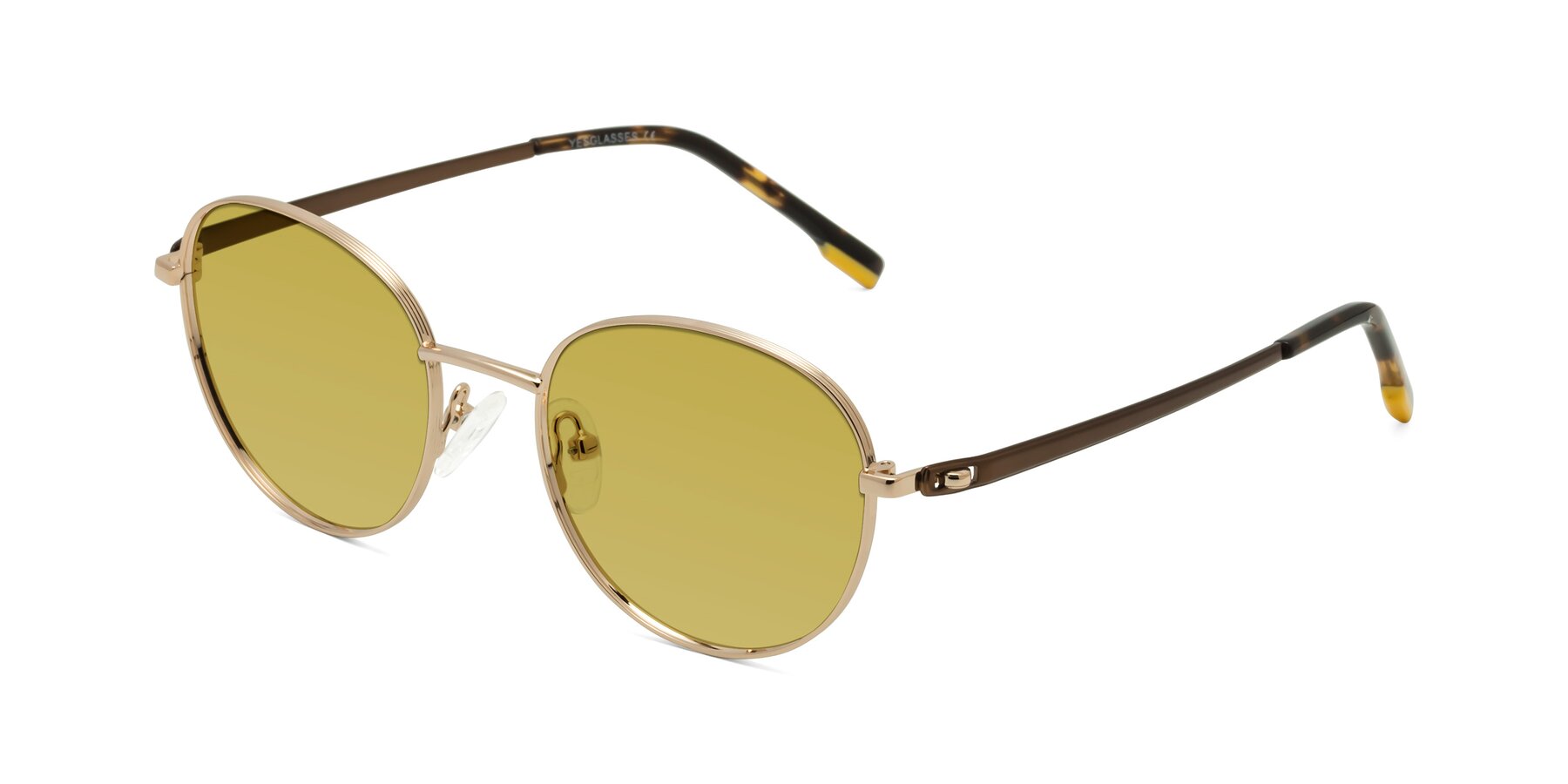 Angle of Bean in Gold with Champagne Tinted Lenses