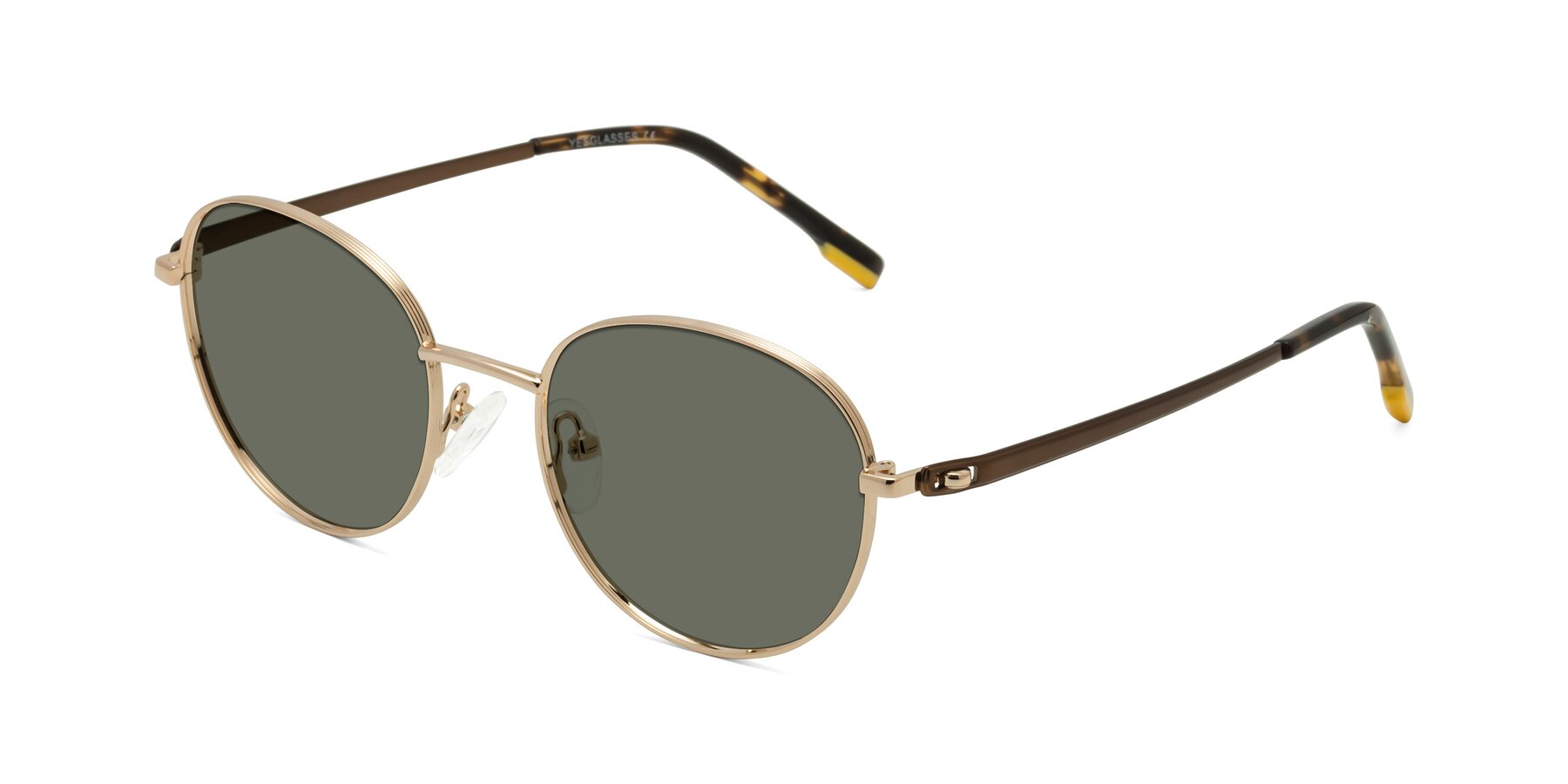 Angle of Bean in Gold with Gray Polarized Lenses