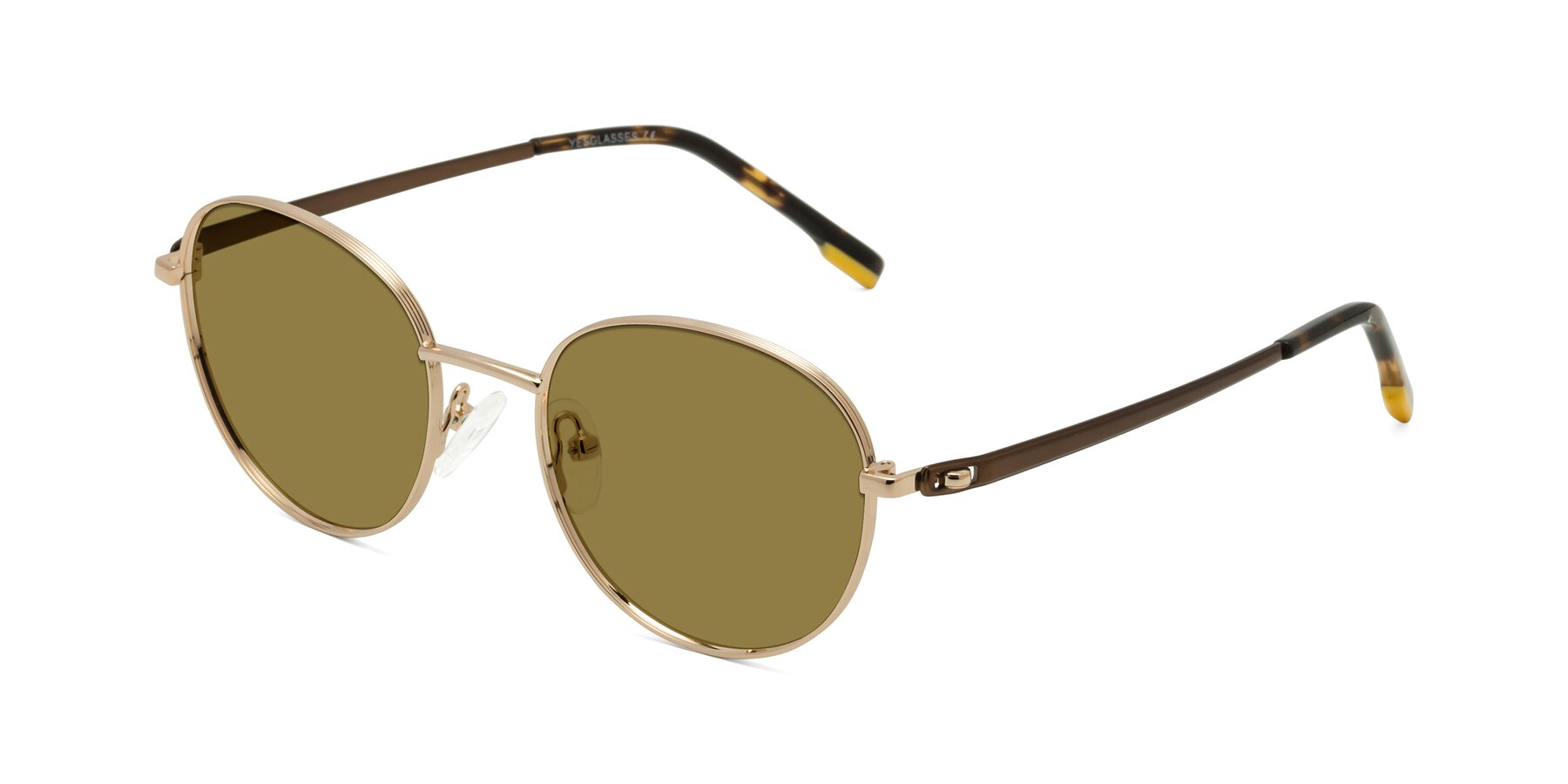 Angle of Bean in Gold with Brown Polarized Lenses