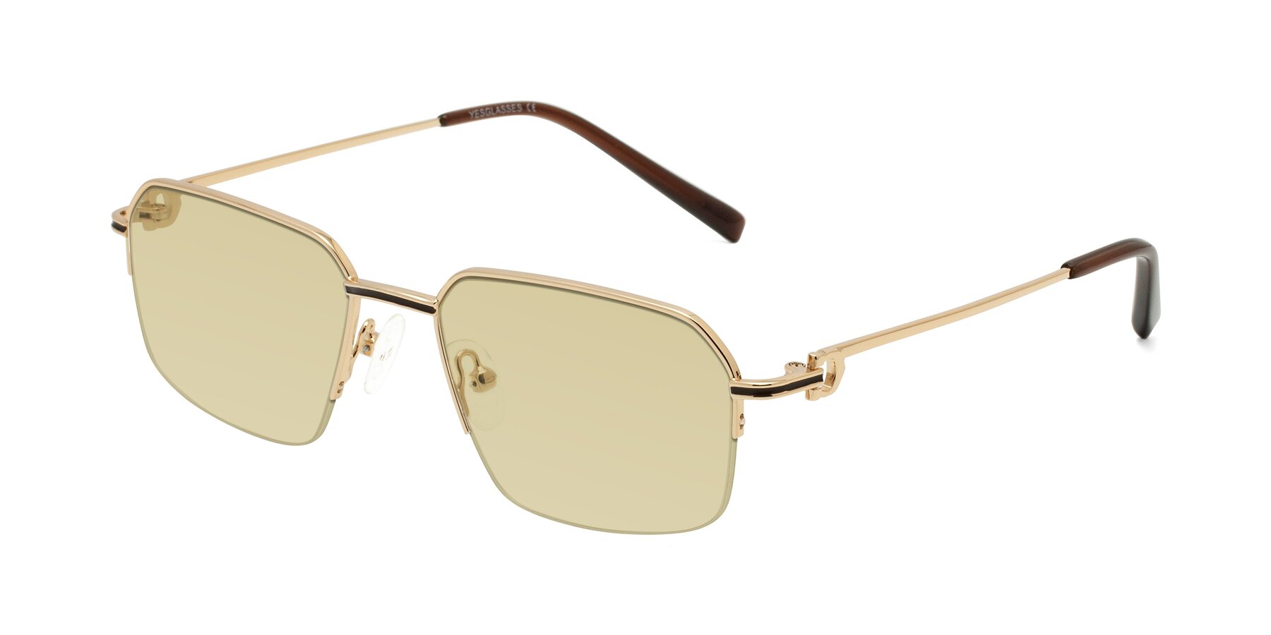 Angle of Almond in Gold with Light Champagne Tinted Lenses