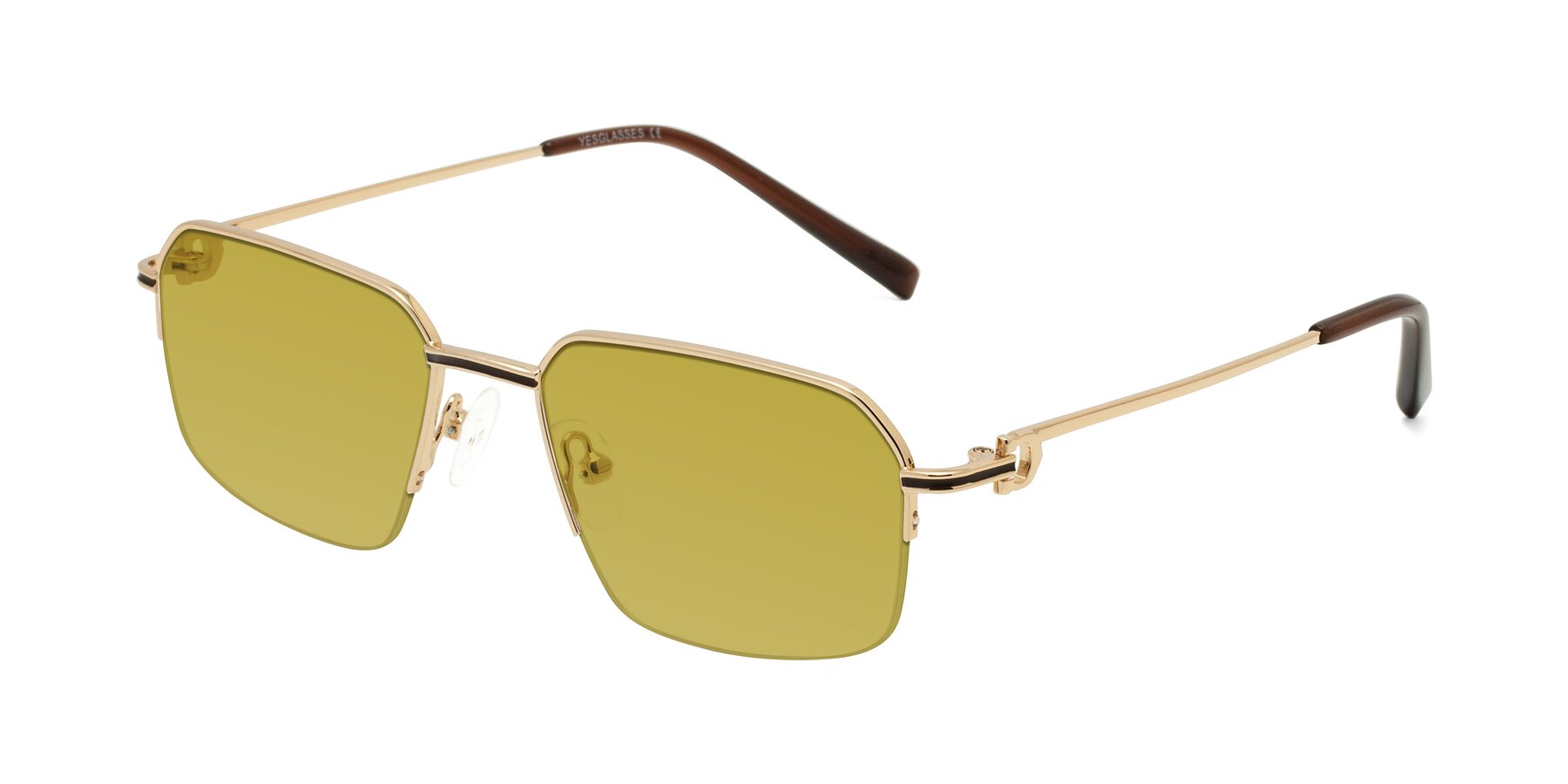 Angle of Almond in Gold with Champagne Tinted Lenses