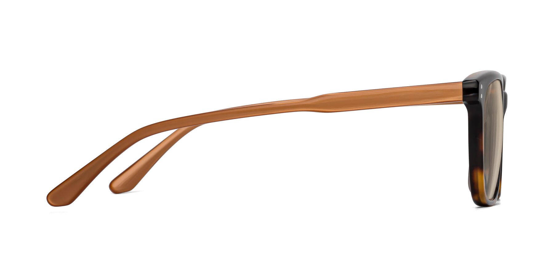 Side of Pretty in Tortoise-Caramel with Light Brown Tinted Lenses